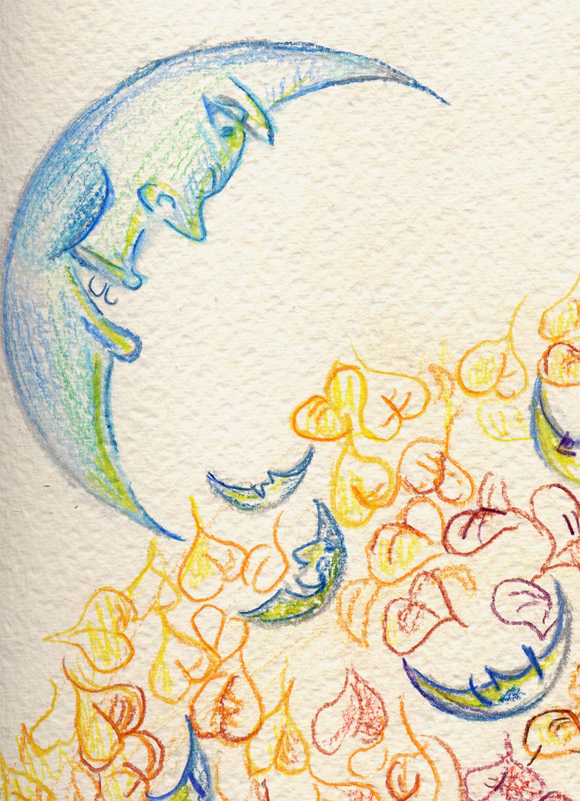 clicca per un'immagine pi� grande