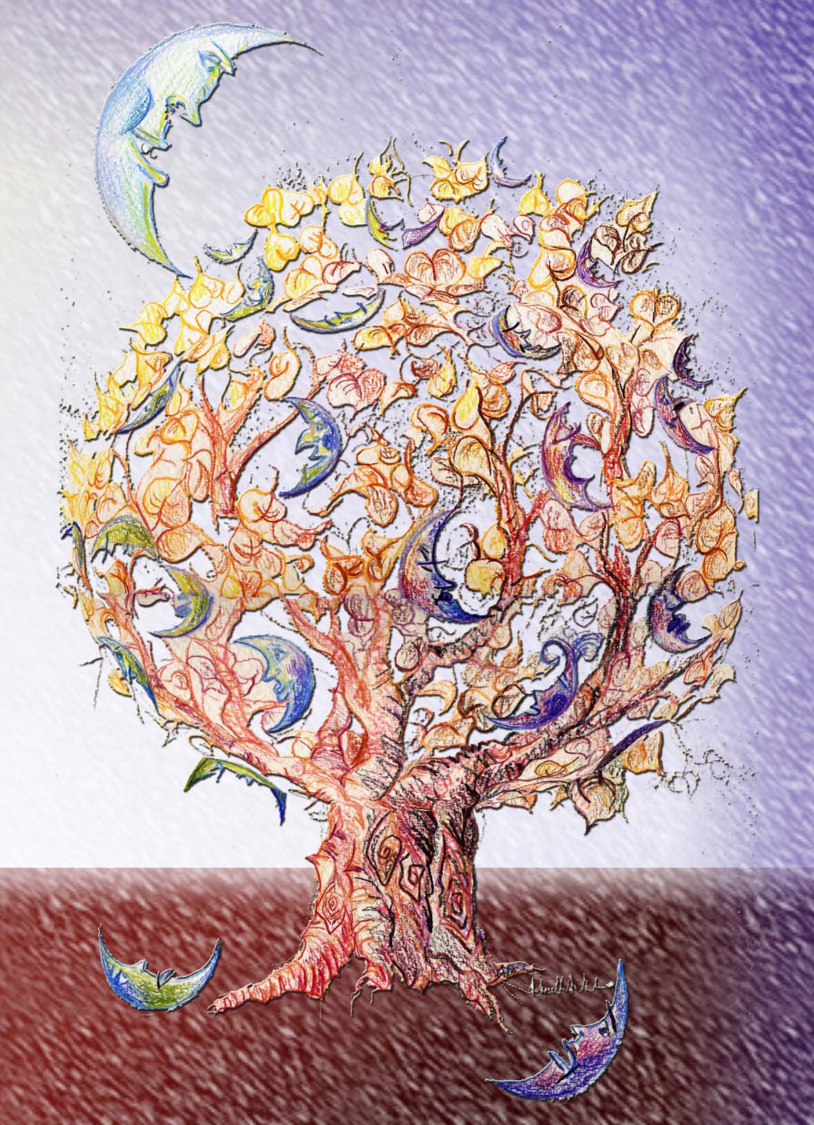 clicca per un'immagine pi� grande